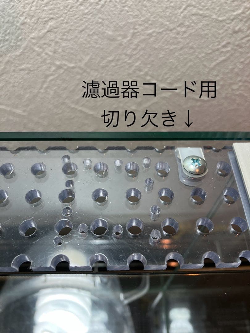 アクアサイダーのイモリウム用水槽40cm